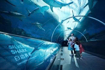 Vé vào cửa Thủy cung Singapore